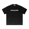 "CARELESS OF OPINIONS" | Heavyweight Drop Shoulder T-Shirt