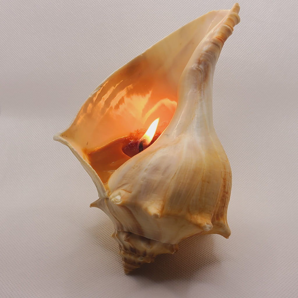 Soy Wax Seashell Candle