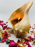 Soy Wax Seashell Candle