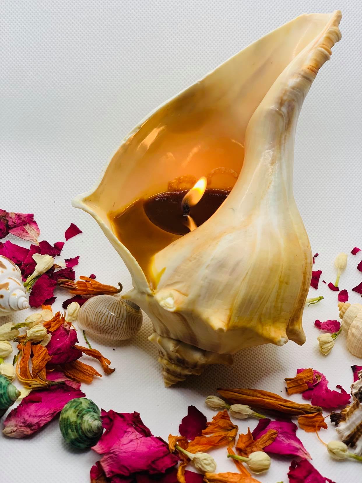 Soy Wax Seashell Candle