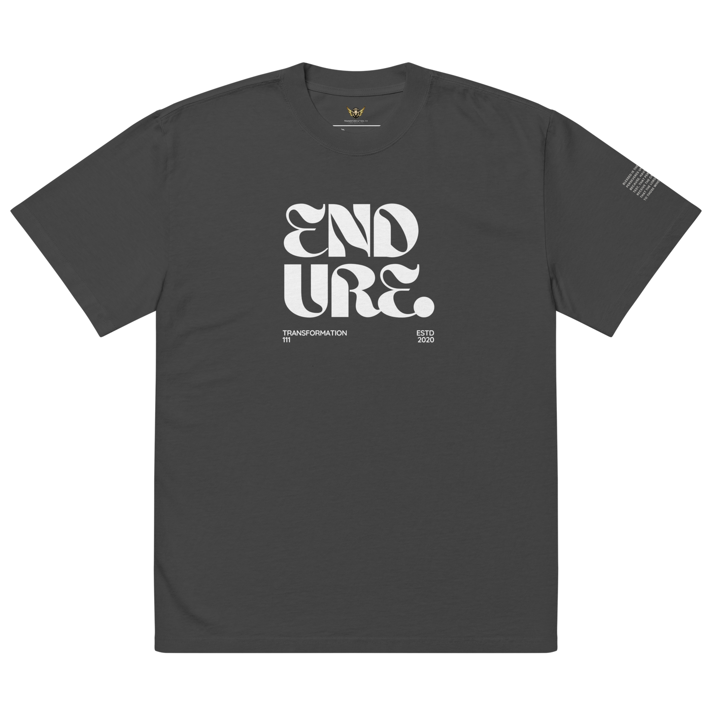 ENDURE | Premium Oversized T-Shirt