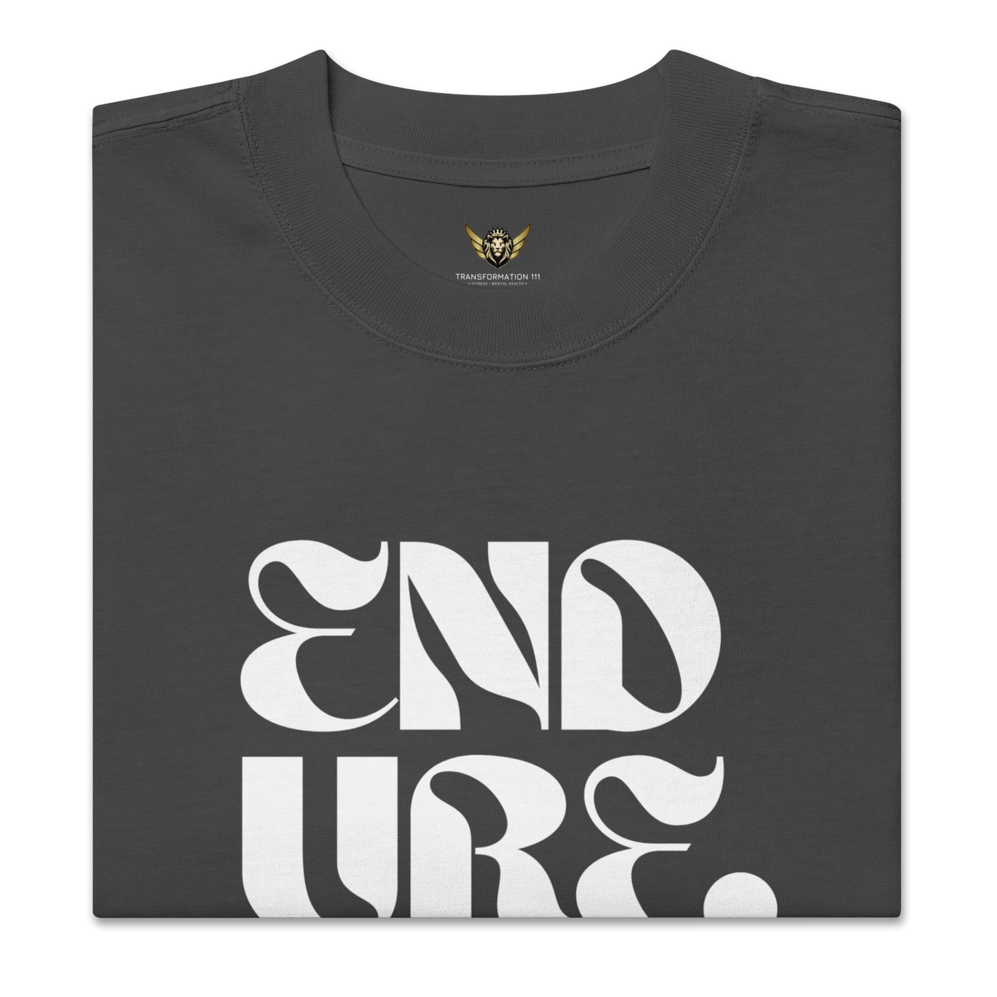 ENDURE | Premium Oversized T-Shirt