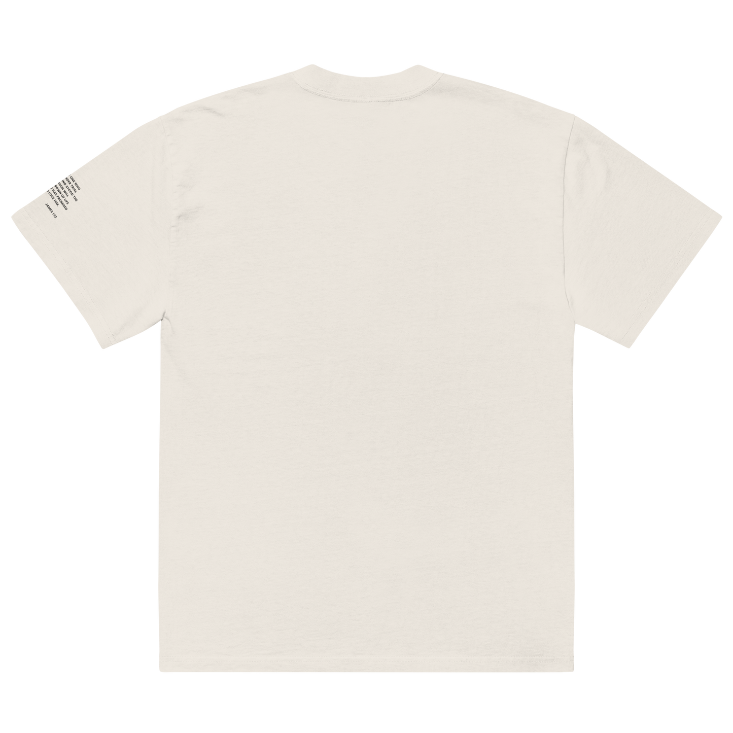 ENDURE (LIGHT) | Premium Oversized T-Shirt