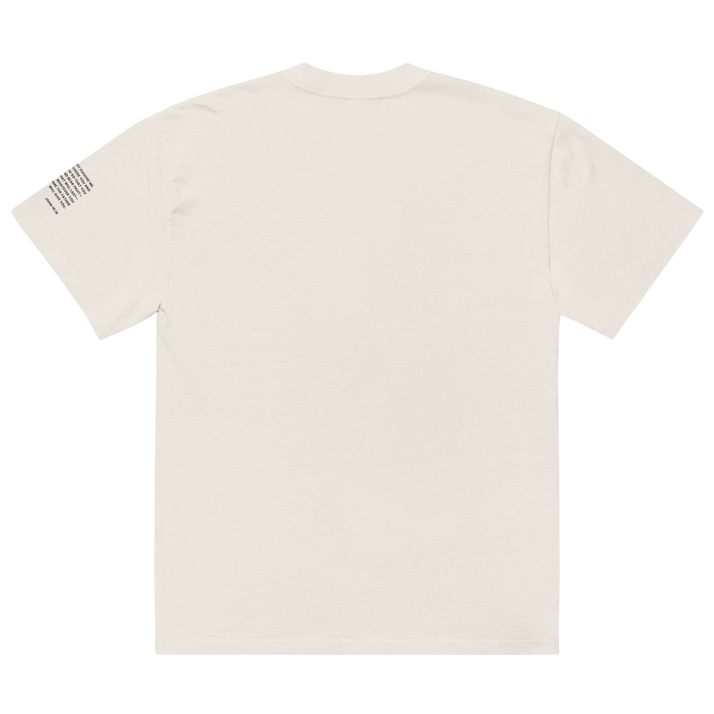 CHOSEN (LIGHT) | Premium Oversized T-Shirt