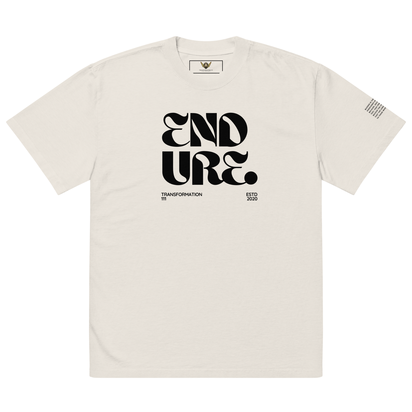 ENDURE (LIGHT) | Premium Oversized T-Shirt