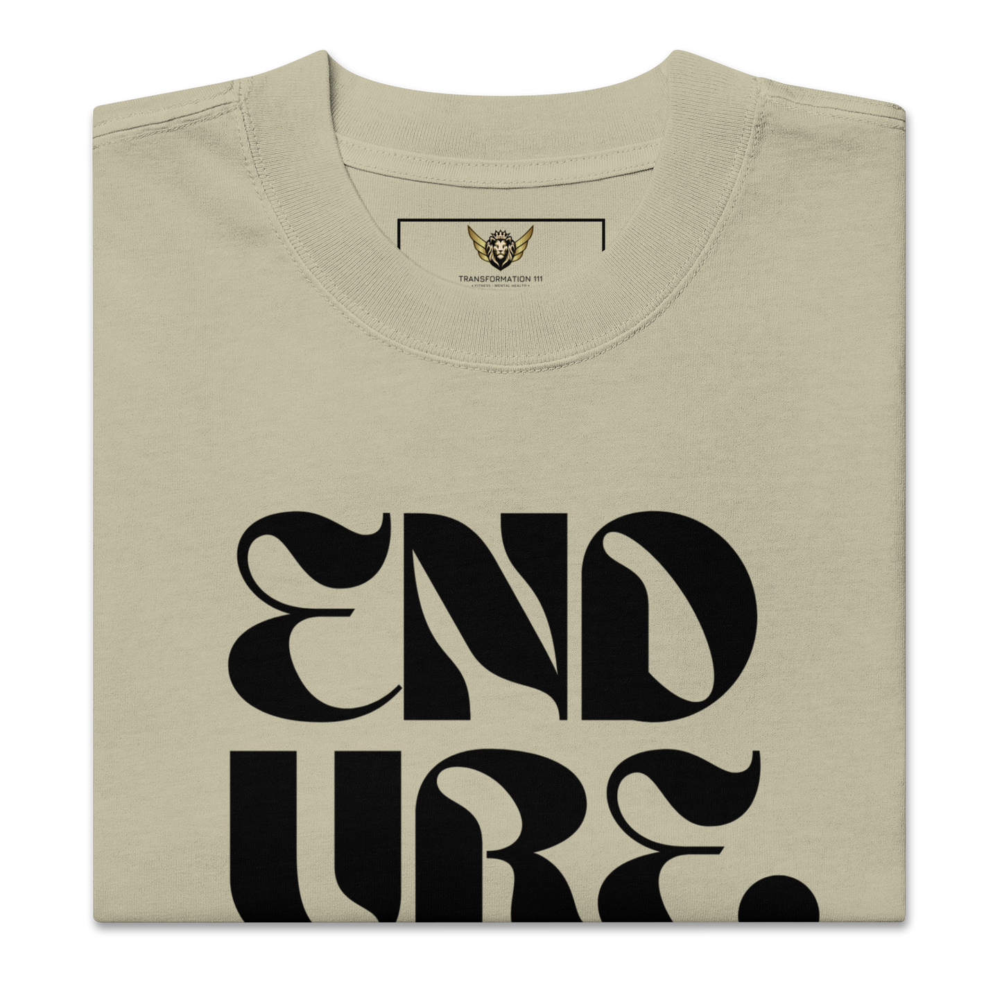 ENDURE (LIGHT) | Premium Oversized T-Shirt