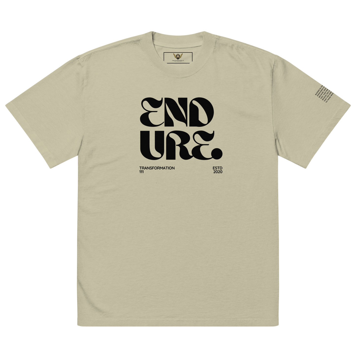 ENDURE (LIGHT) | Premium Oversized T-Shirt