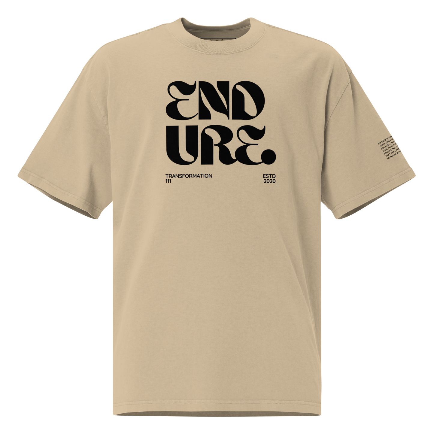 ENDURE (LIGHT) | Premium Oversized T-Shirt